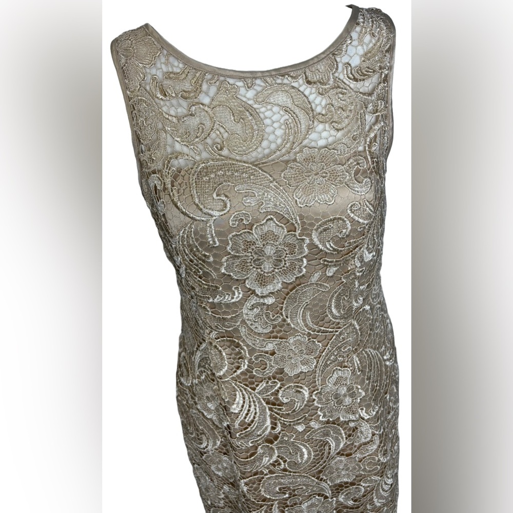 Adrianna Papell Beige Illusion Bodice Lace Sheath Dress - Picture 4 of 8